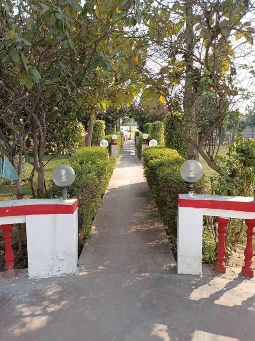 Vila Achal Farm जंगल में मंगल Gurgáon Exteriér fotografie